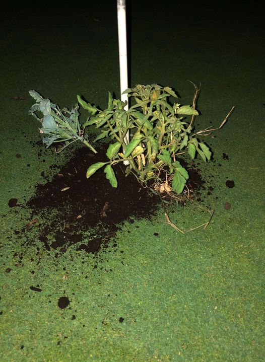 Source : Extinction Rébellion Limoges