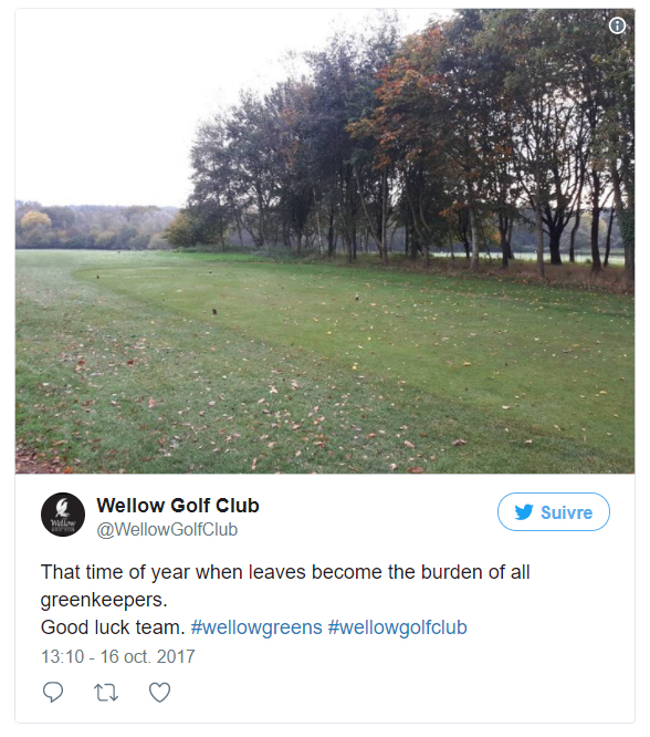 gazon-golf-feuilles-automne