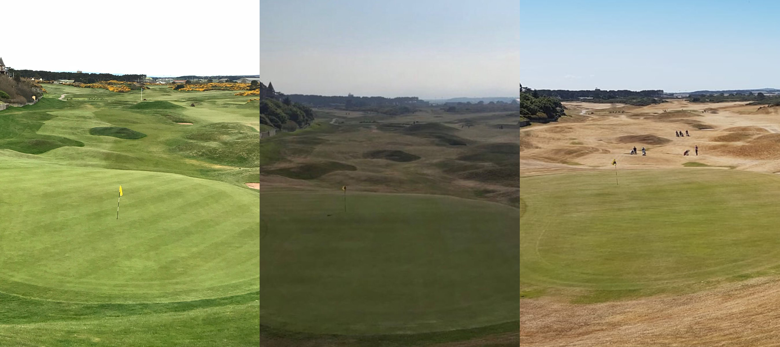 gazon-green-angleterre-secheresse