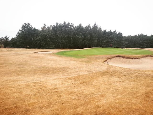 golf-gazon-sécheresse-angleterre