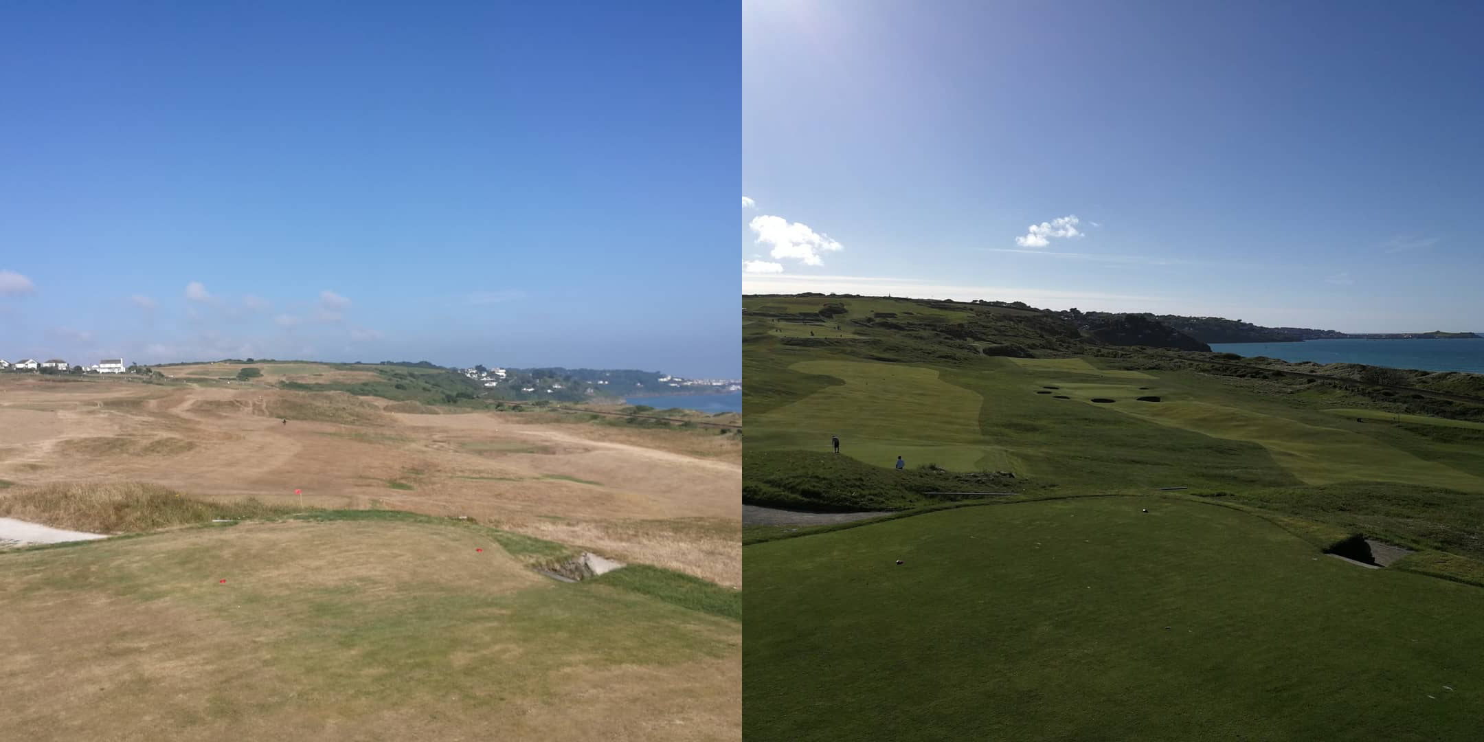 golf-green-secheresse