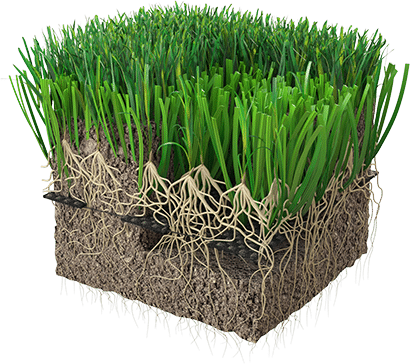hybridgrass-hatko