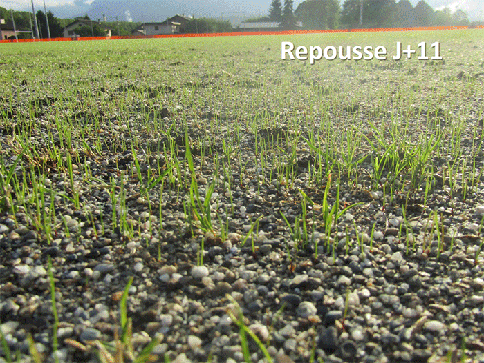 HYDRAPARTS evolution pelouse