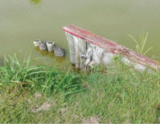 Lignano-Golf-Club