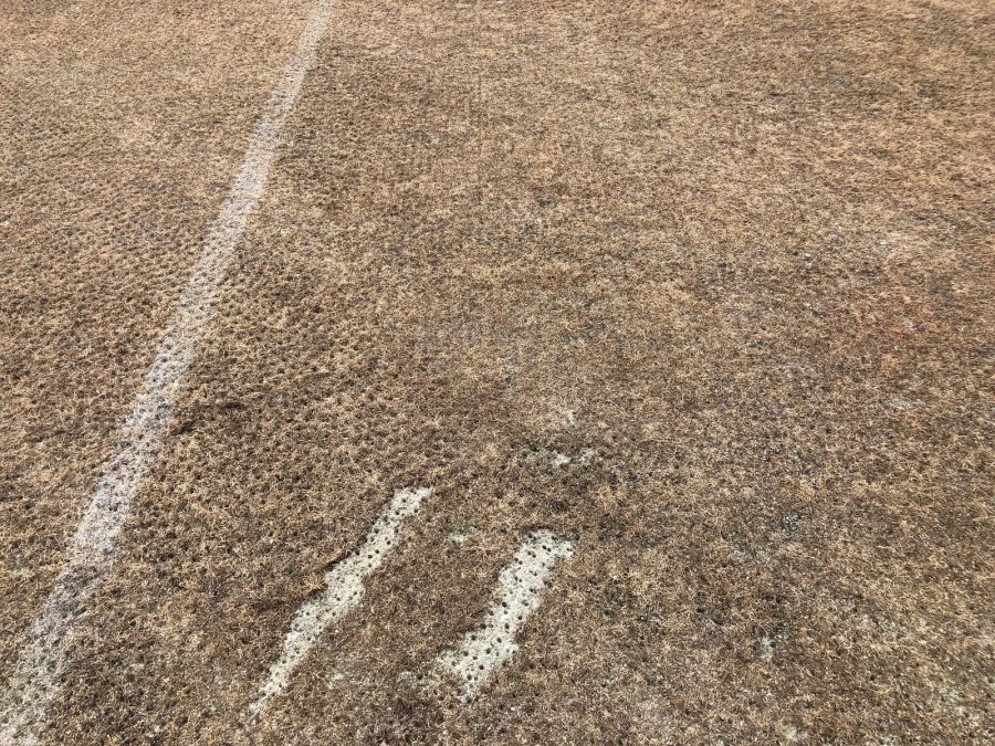 pelouse-pyriculariose-ligue-2