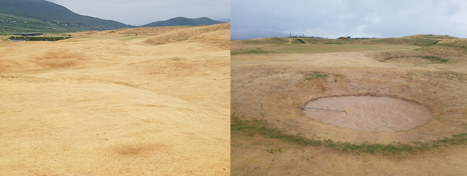 sécheresse-golf-gazon-Castlegregory