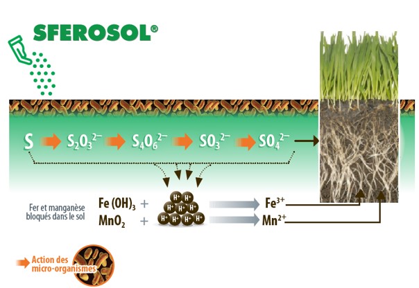 sferosol