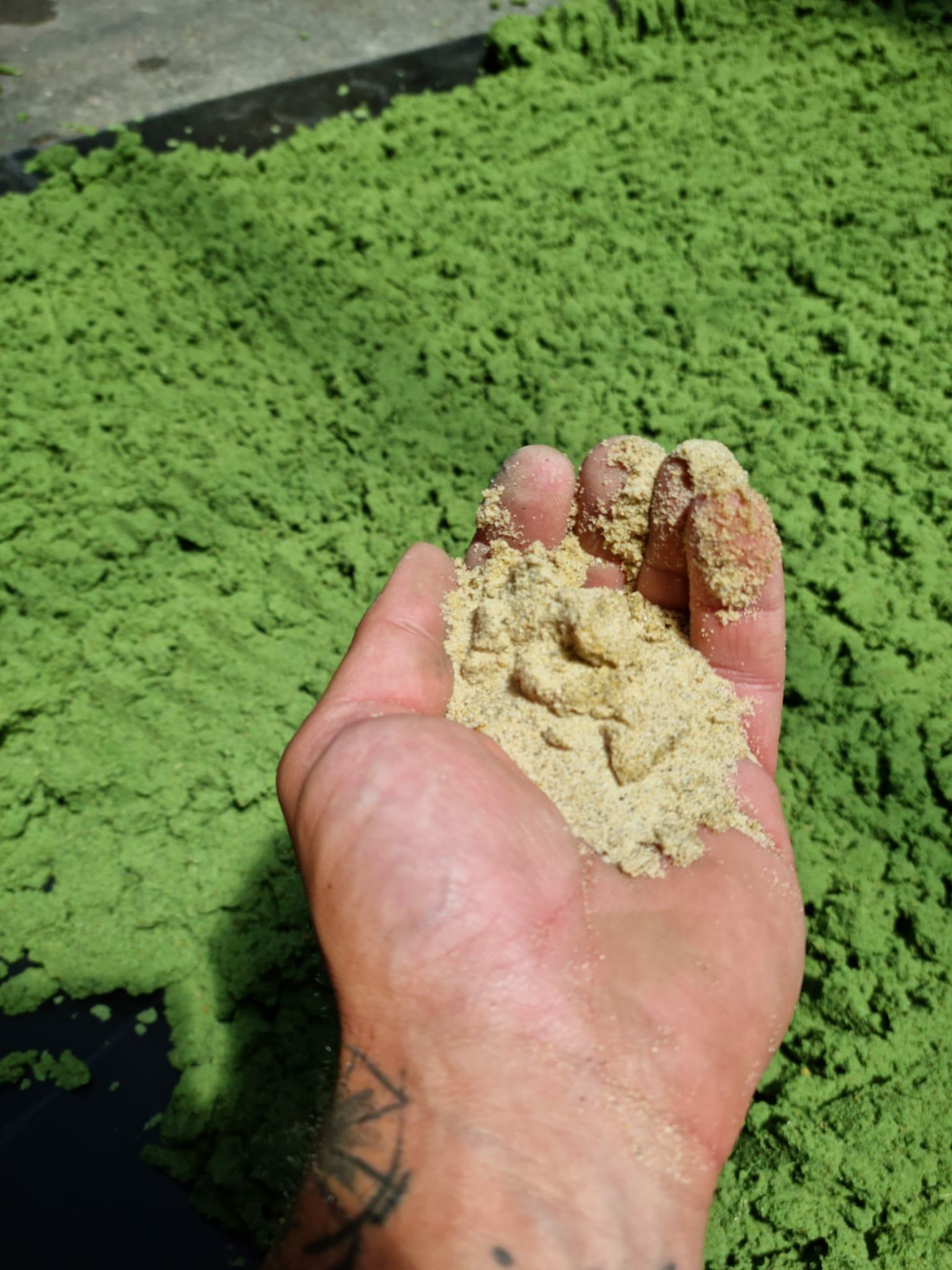 World_Rugby_Sevens_Series_Ernest_Wallon World_Rugby_Sevens_Series_Ernest_Wallon