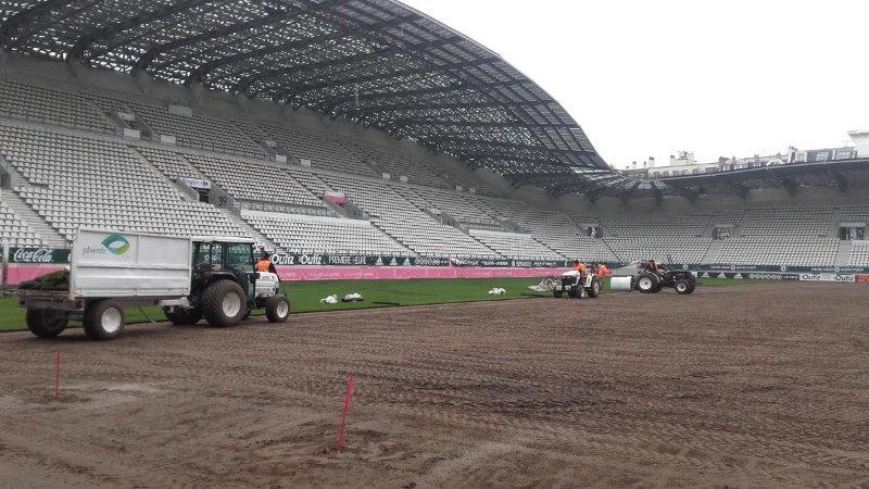 Brive-Rugby-pelouse Brive-Rugby-pelouse