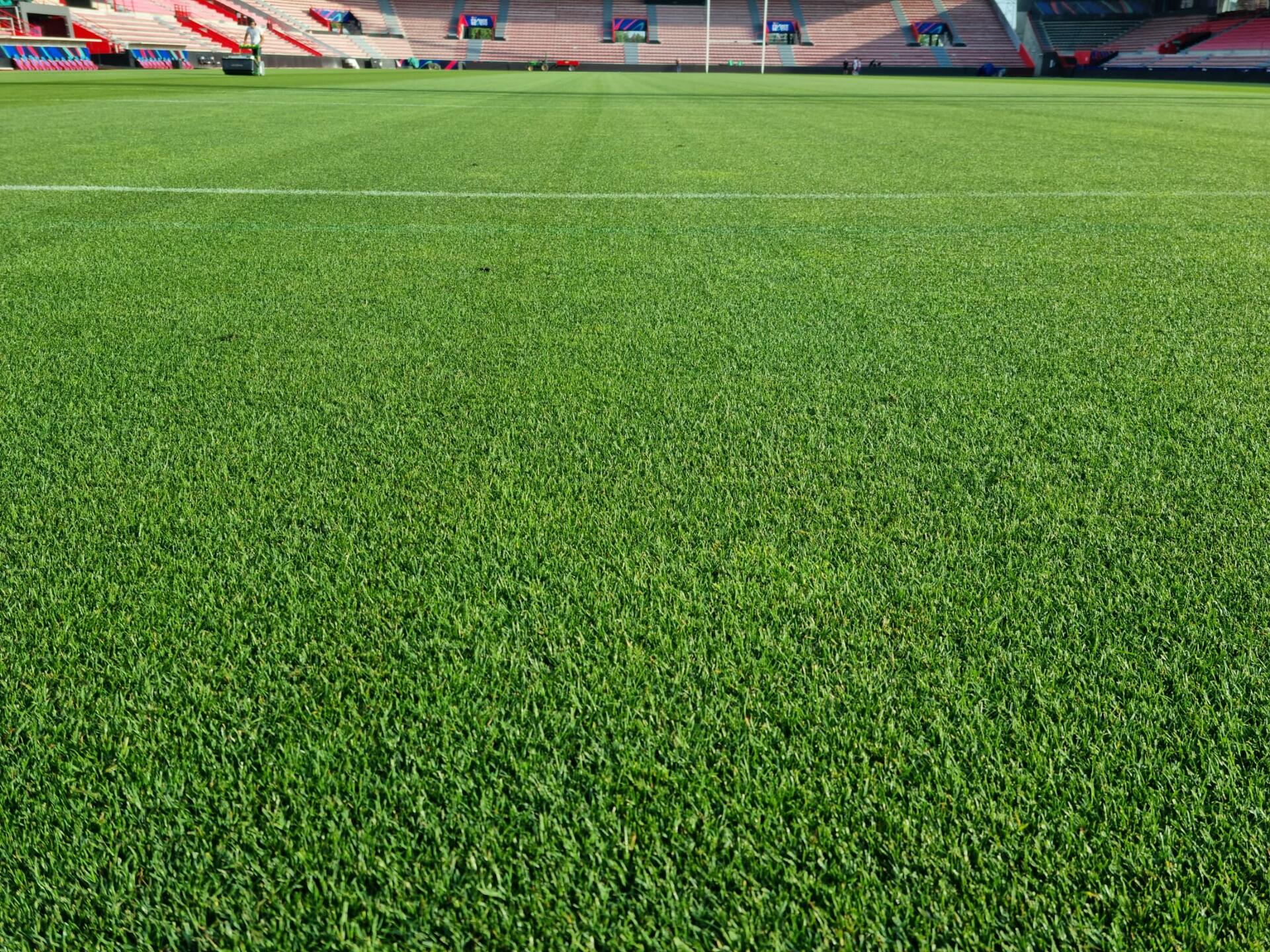 World_Rugby_Sevens_Series_Ernest_Wallon World_Rugby_Sevens_Series_Ernest_Wallon