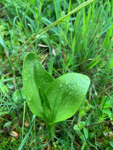biodiversité biodiversité