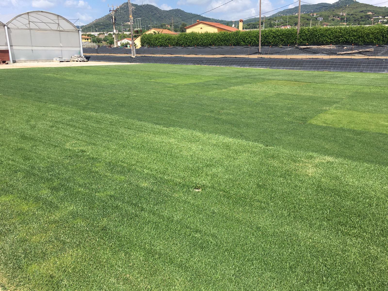 essais_fito_c3_juin_2020 essais_fito_c3_juin_2020