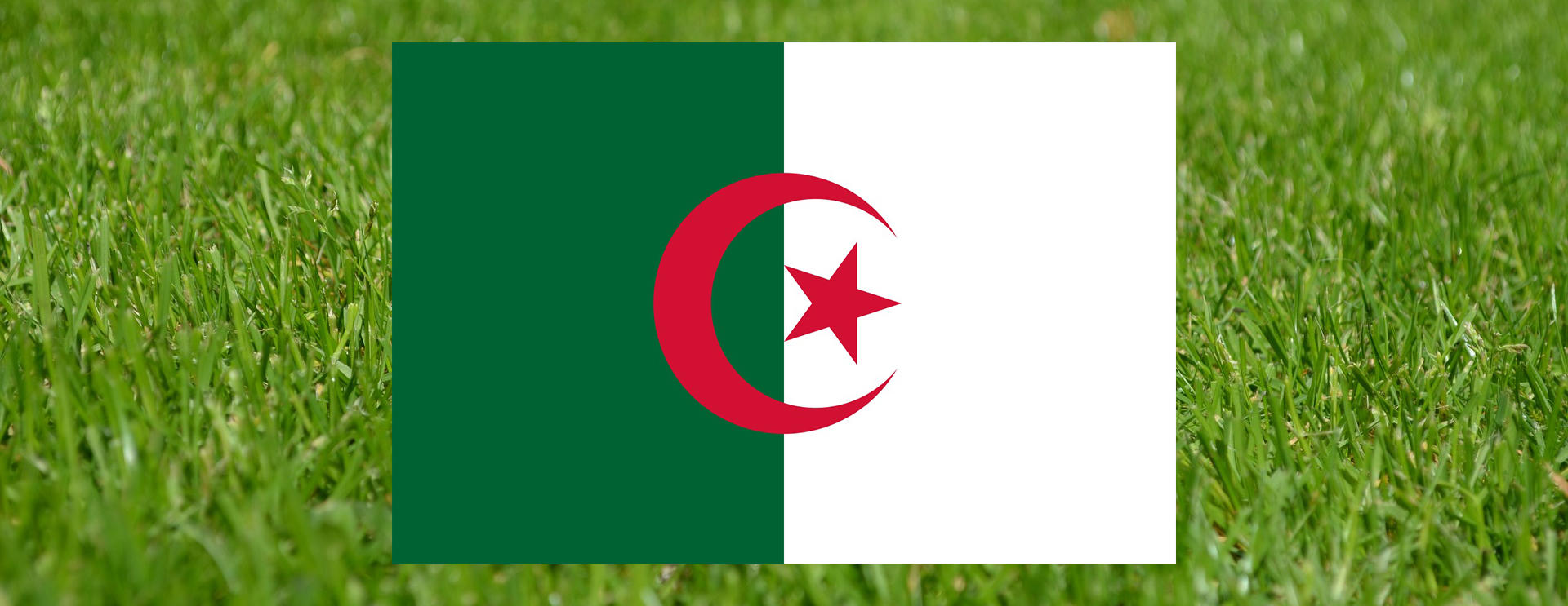 gazon-algérie