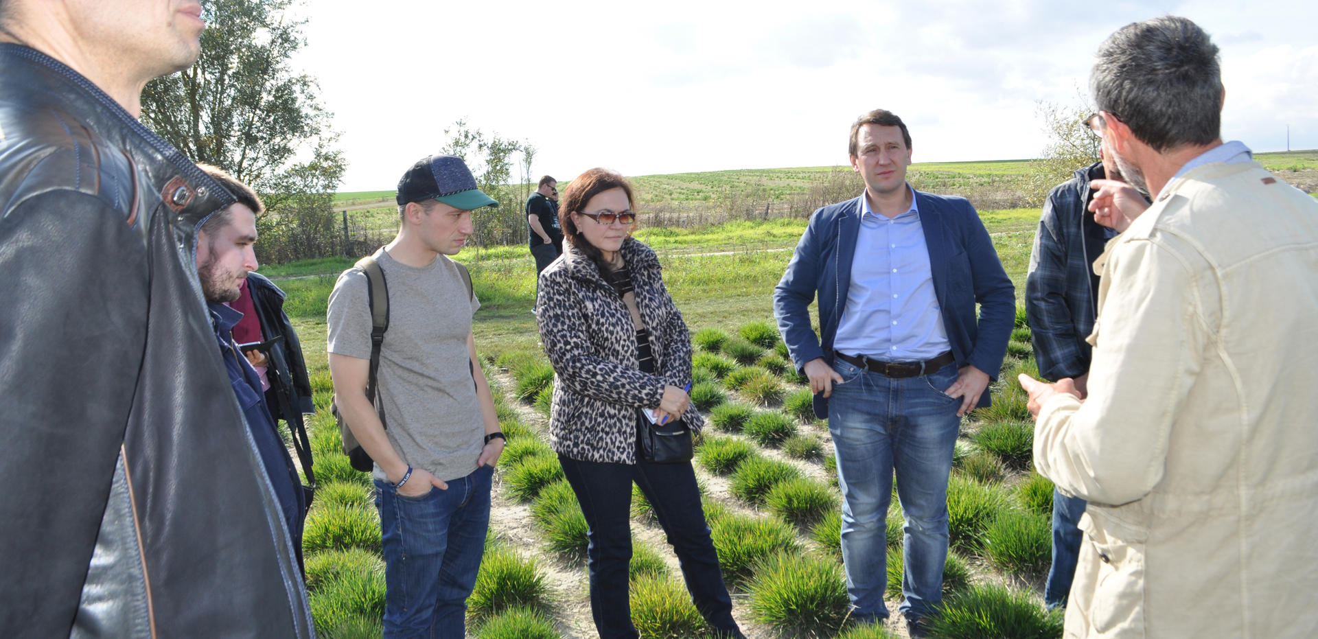 gazon-coupe-du-monde-russie-2018 gazon-coupe-du-monde-russie-2018