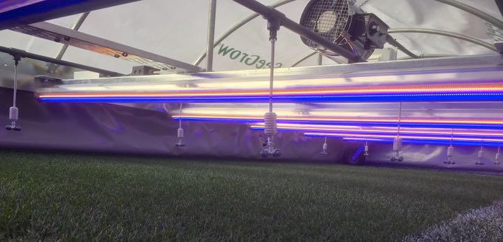 gazon-croissance-express-terrain-professionnel gazon-croissance-express-terrain-professionnel