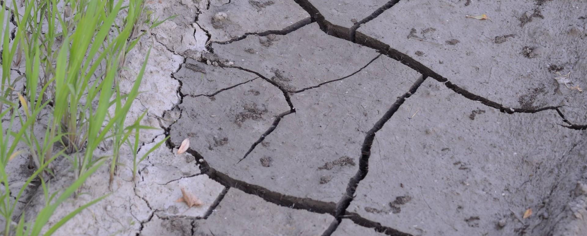 gazon-irrigation-restriction-secheresse