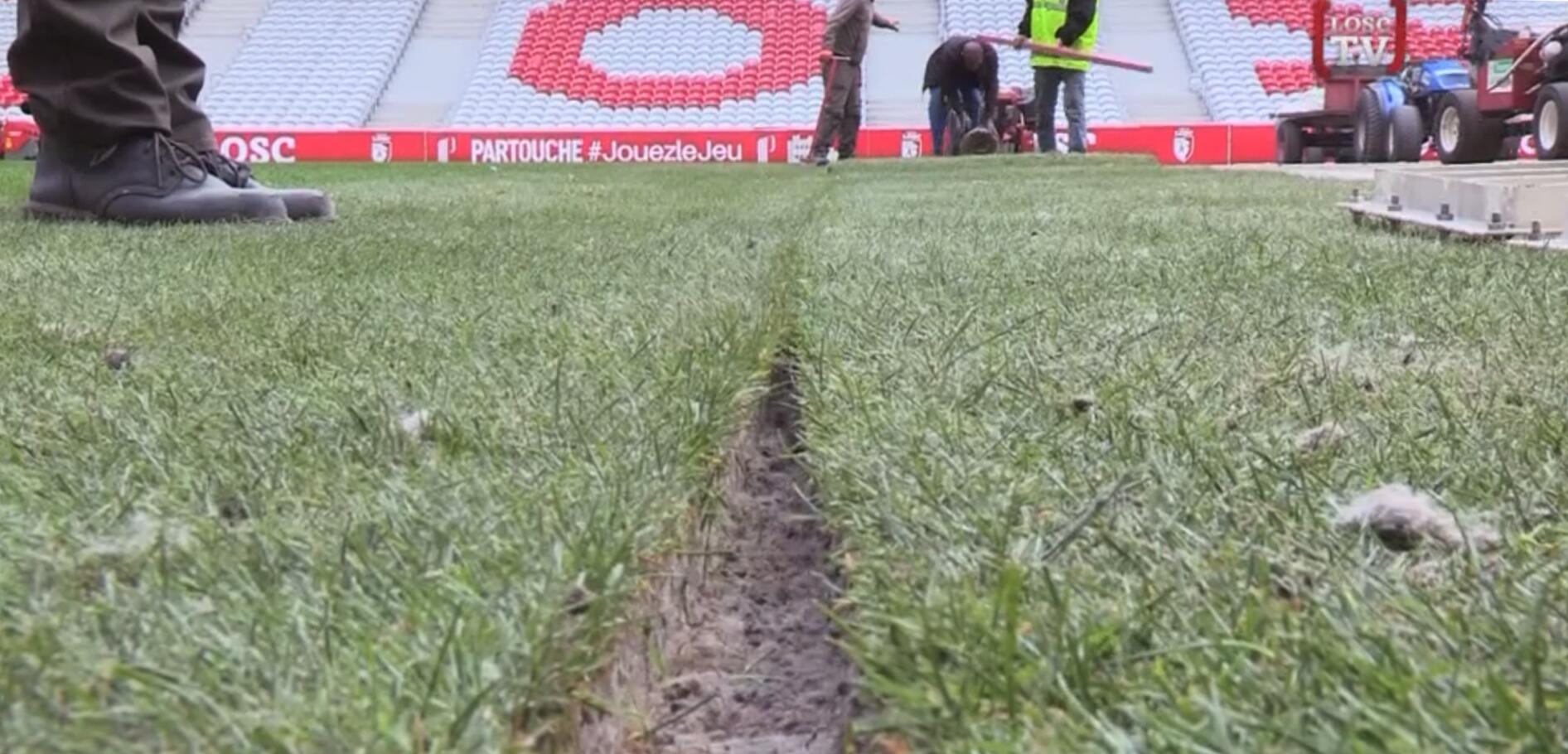 gazon-losc-stade-pierre-mauroy