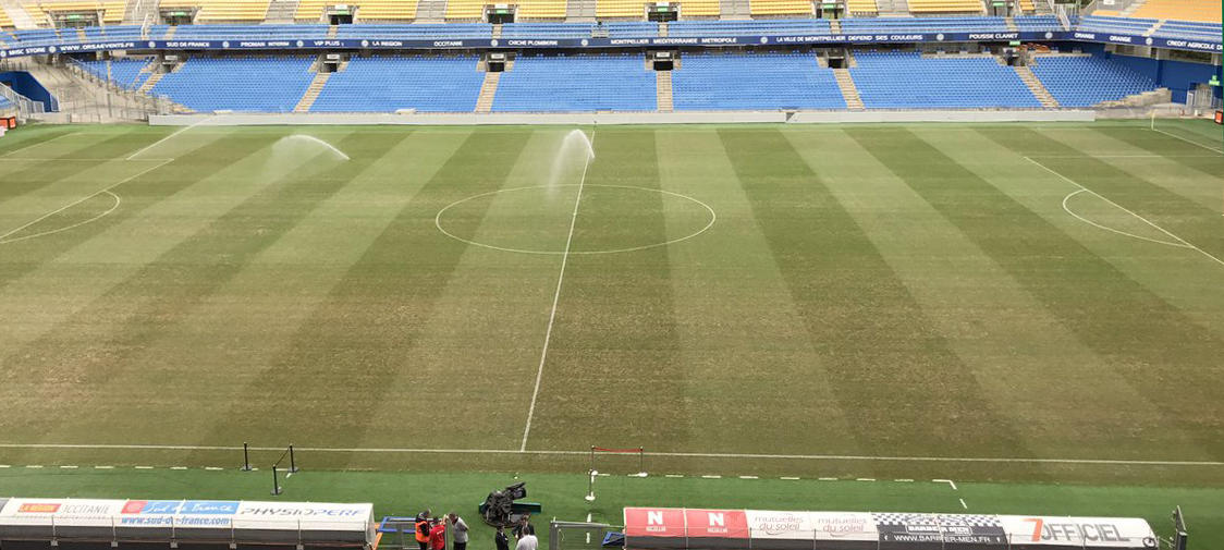 gazon-montpellier-mosson-pelouse