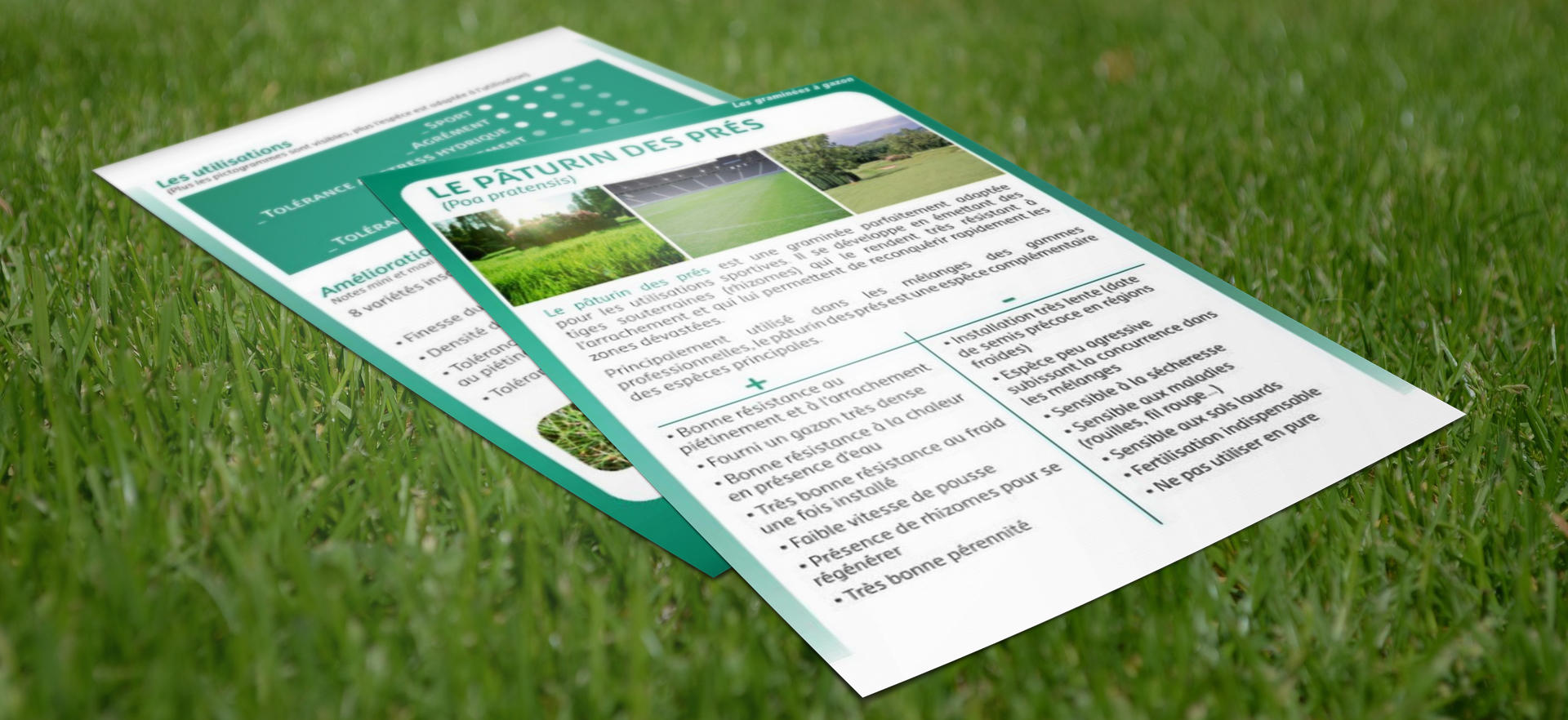 gazon-paturin-pres-GNIS