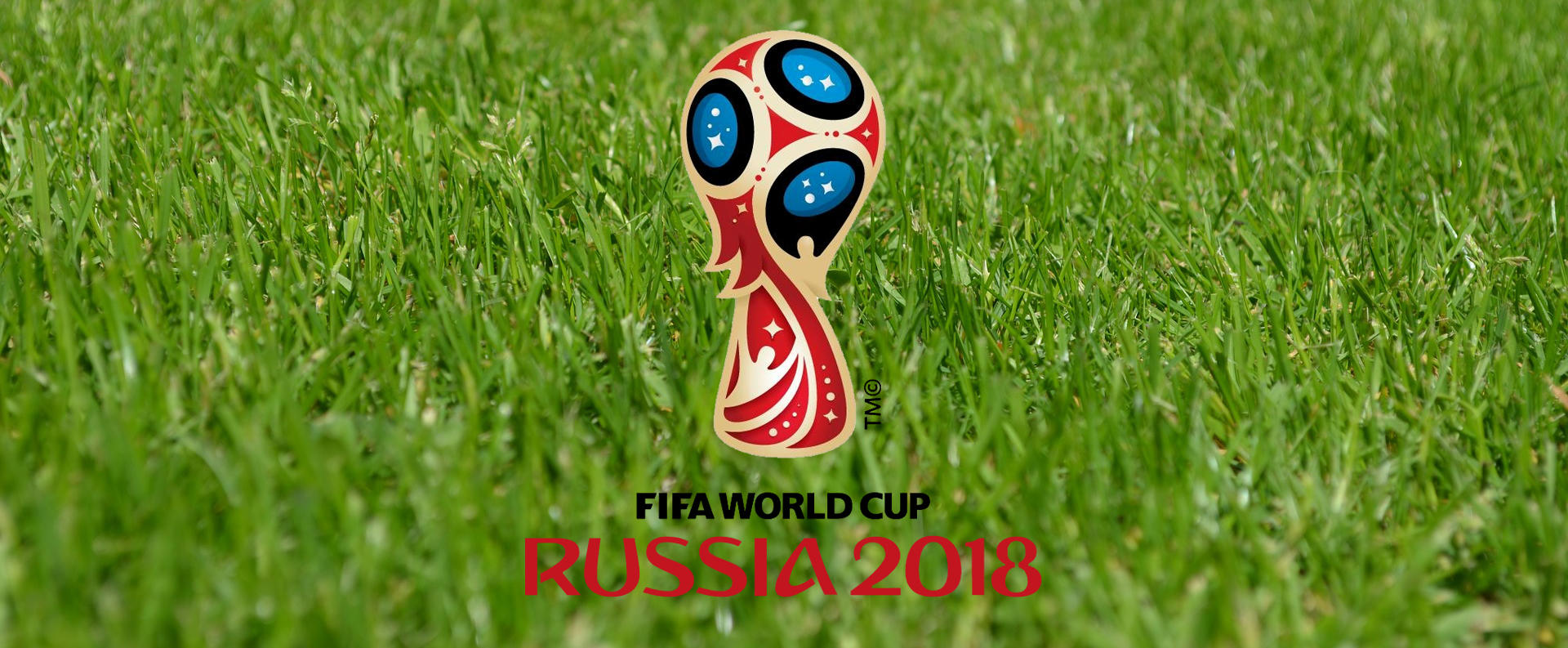 gazon-russie-DLF-pelouse-football