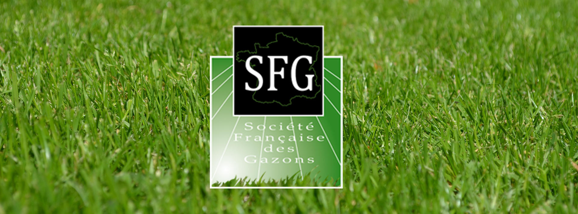 Gazon-société-française