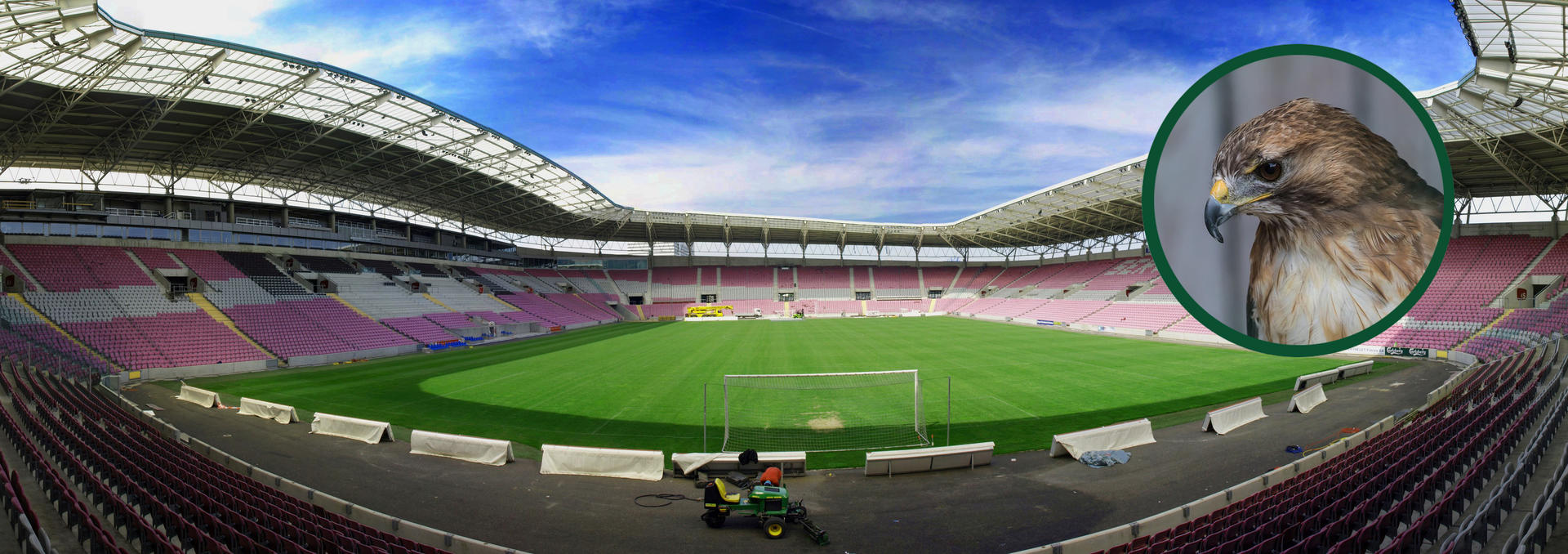 gazon-stade-geneve-faucon gazon-stade-geneve-faucon