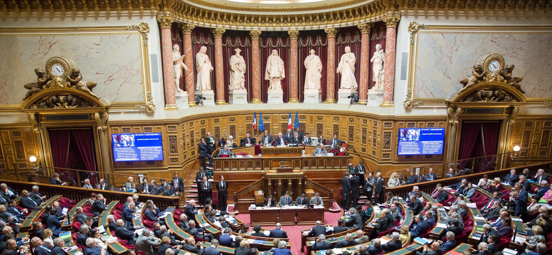 gazon-synthétique-sénat