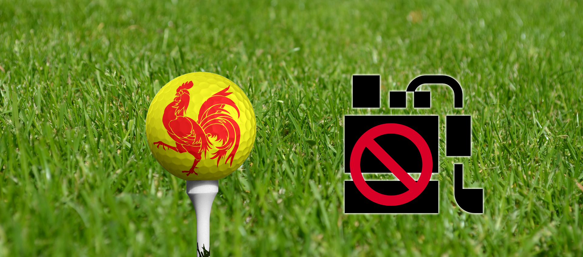 gazon-wallonie-sanitaire