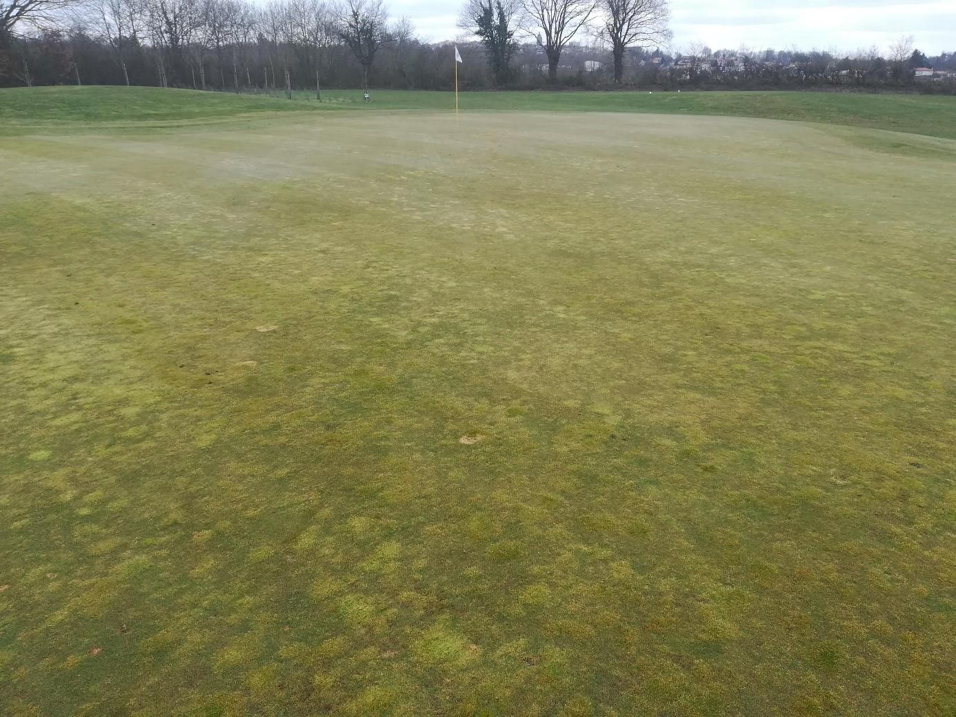 golf-de-Bressuire golf-de-Bressuire