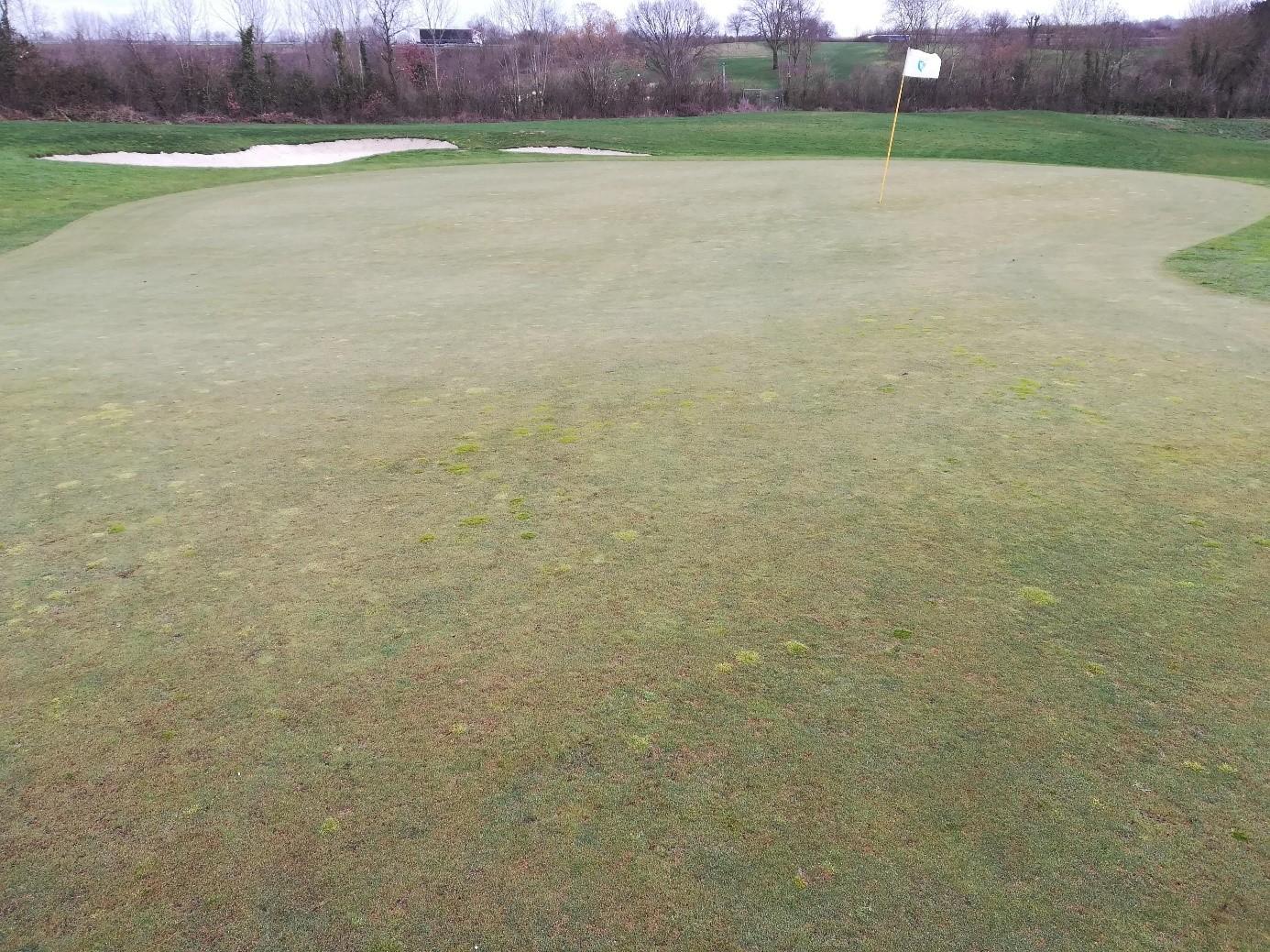 golf-de-Bressuire golf-de-Bressuire