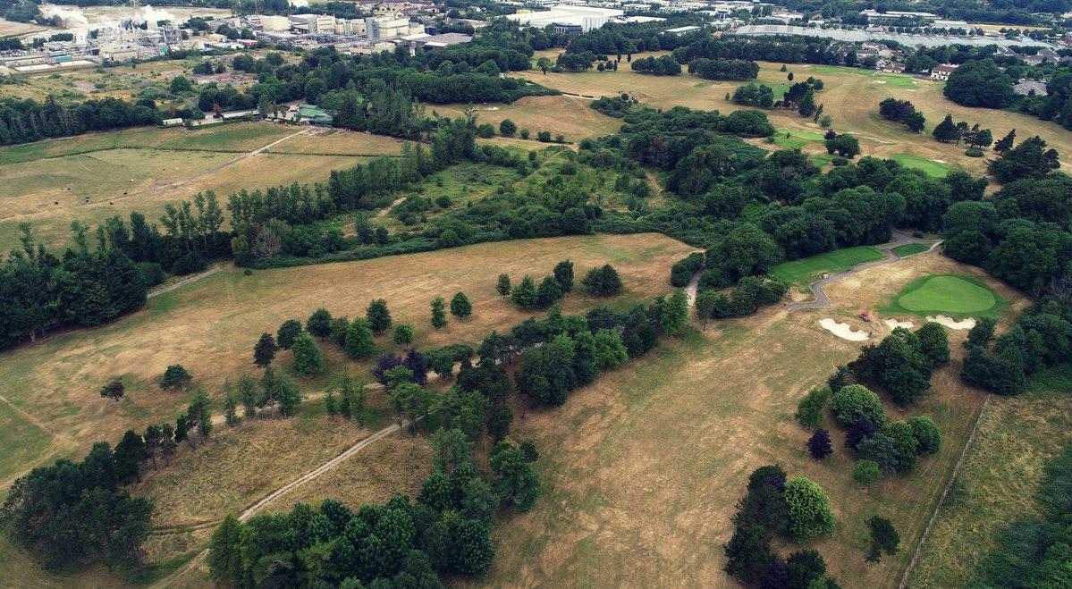 golf-green-gazon-sec