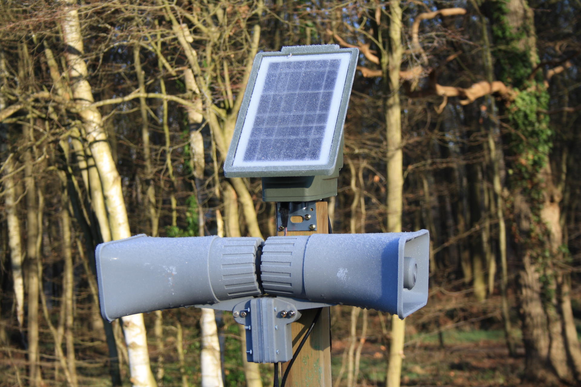 Bestwarden-épouvantails-sangliers