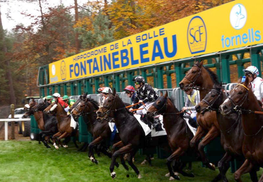 hippodrome-de-la-solle-fontainebleau