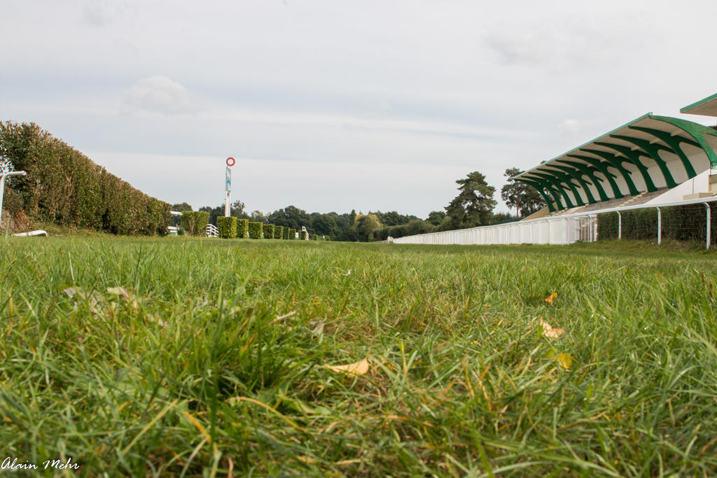 Hippodrome_Pontivy_Alain_Mehr.jpg