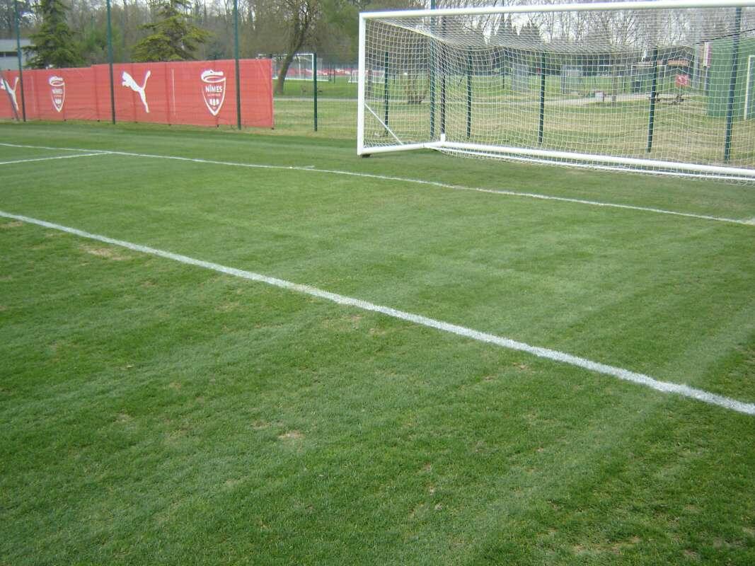 hybridgrass-green-style-sport-international-thierry-martin