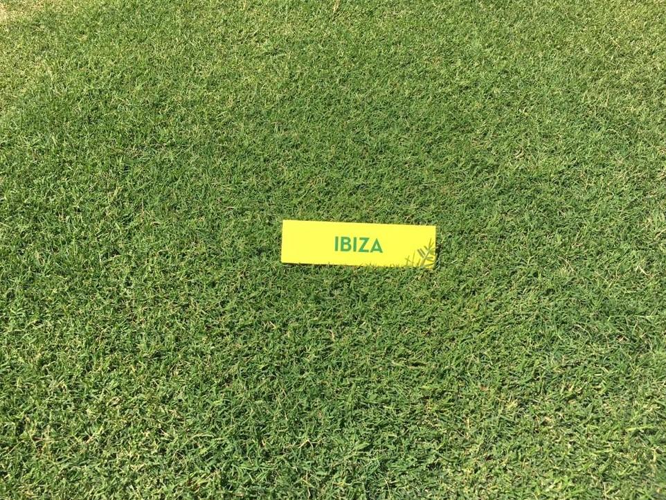 ibiza_juin_20 ibiza_juin_20