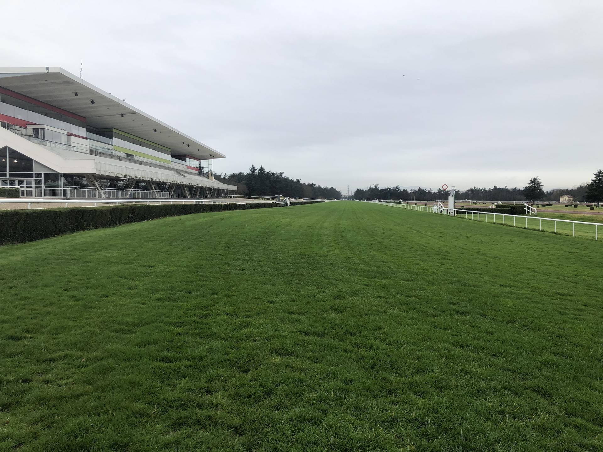 julius-le-tutour-hippodrome-lyon-parilly julius-le-tutour-hippodrome-lyon-parilly