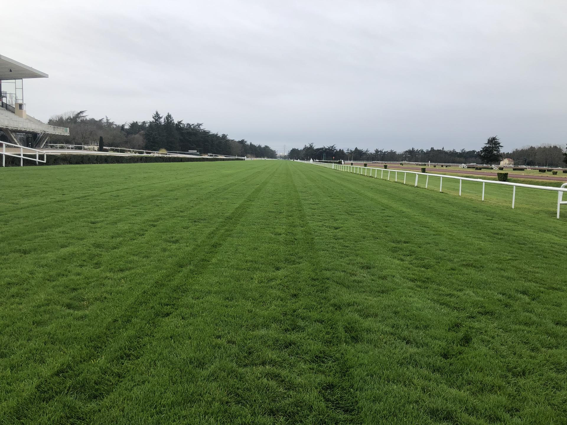 julius-le-tutour-hippodrome-lyon-parilly julius-le-tutour-hippodrome-lyon-parilly