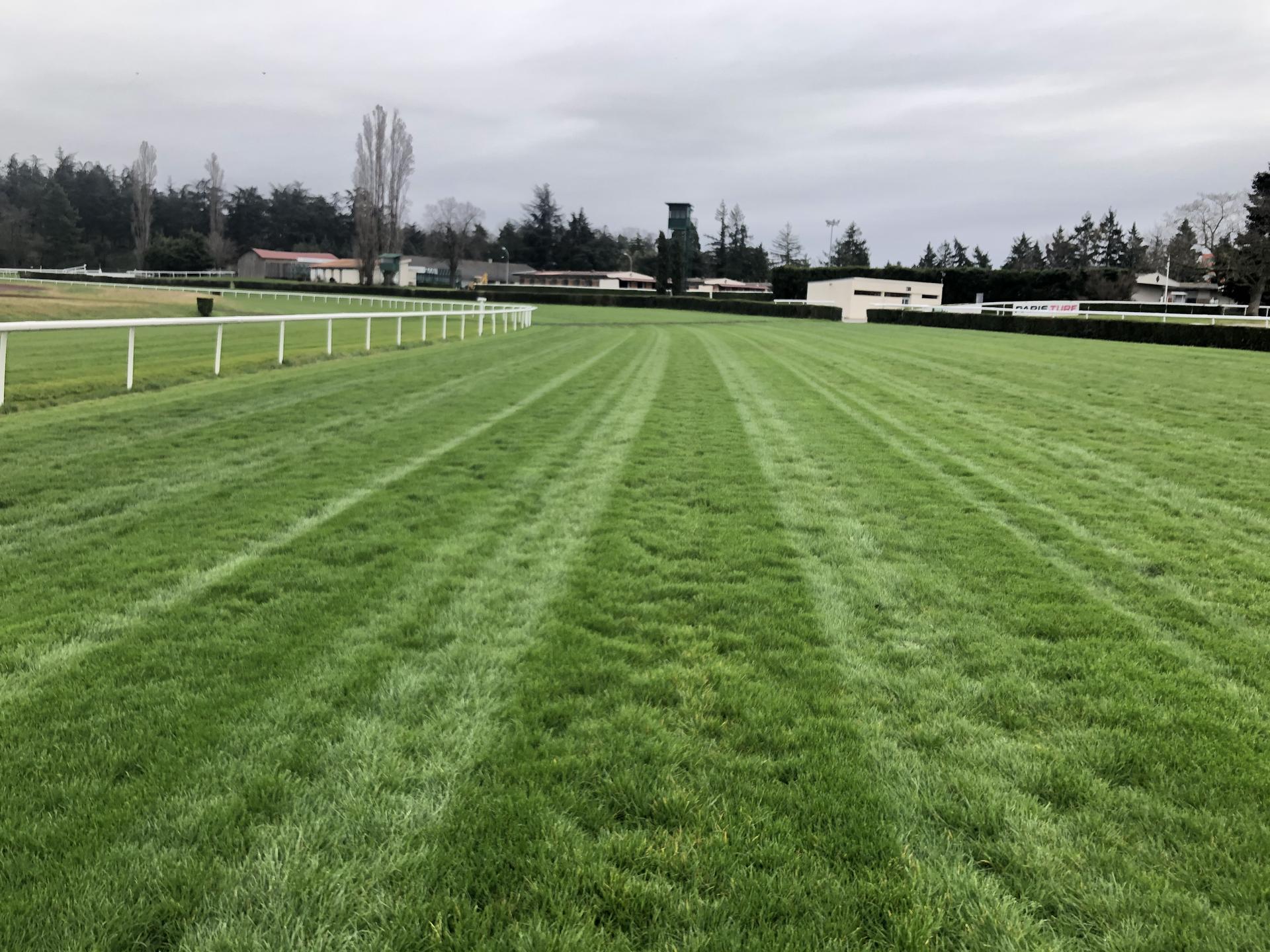 julius-le-tutour-hippodrome-lyon-parilly julius-le-tutour-hippodrome-lyon-parilly