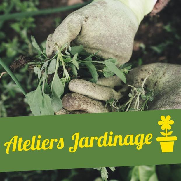 atelier-jardinage-saint-omer