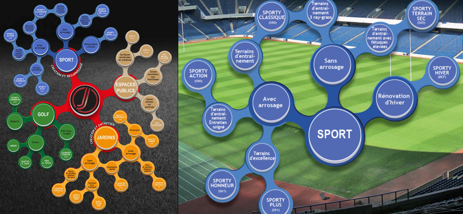 Johnsons-Gazon-Sport