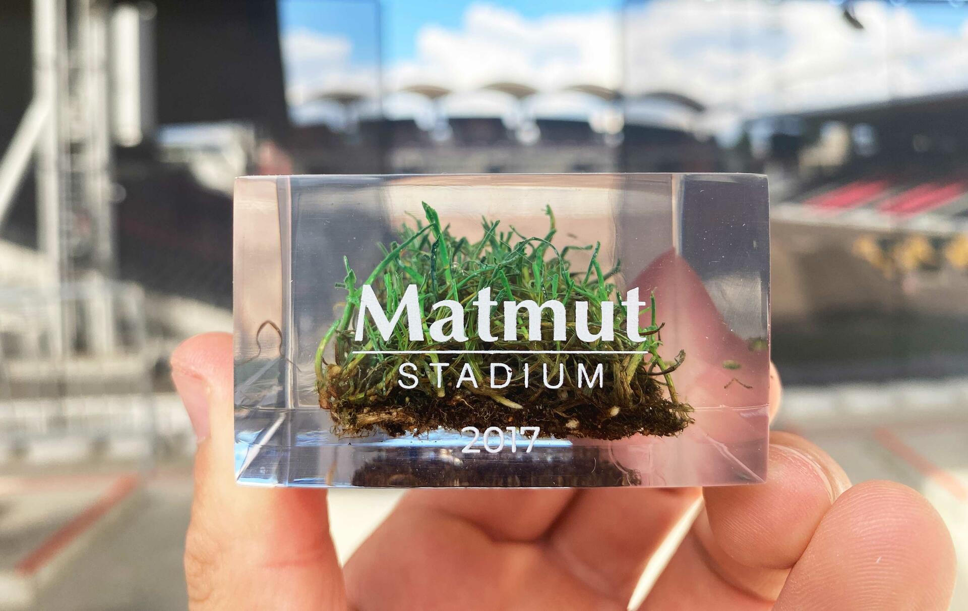 la-pelouse-de-gerland-immortalisee-dans-un-bloc