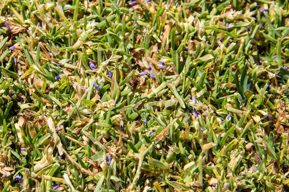 les-48h-du-gazon-sport-pro-table-ronde-conversion-de-flore