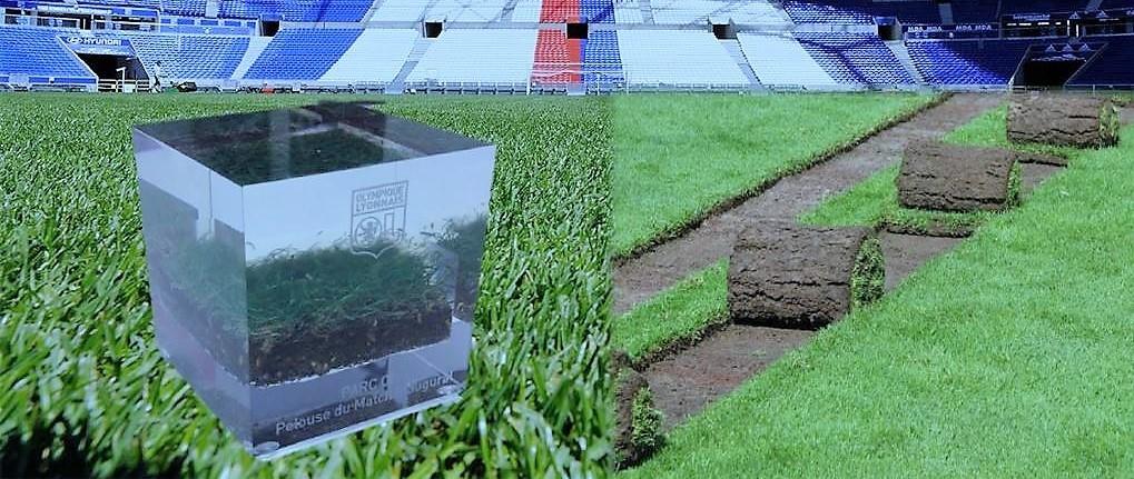 grand-parc-ol-bloc-pelouse