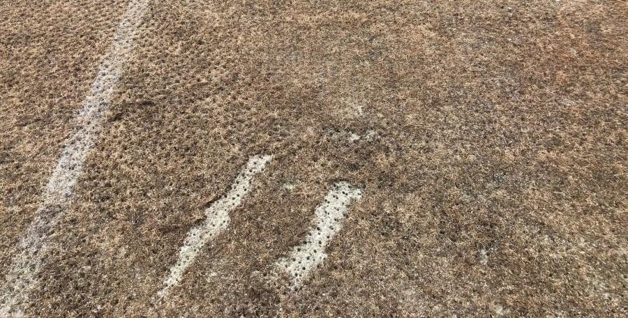 pelouse-FC-Lorient-ligue-2