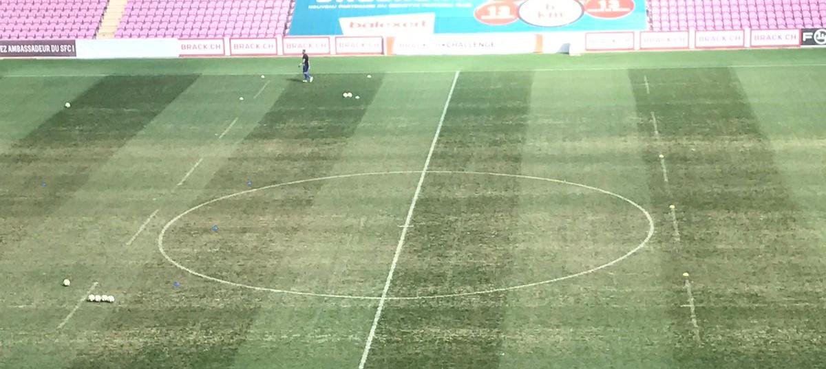 pelouse-stade-genève-praille-champignon