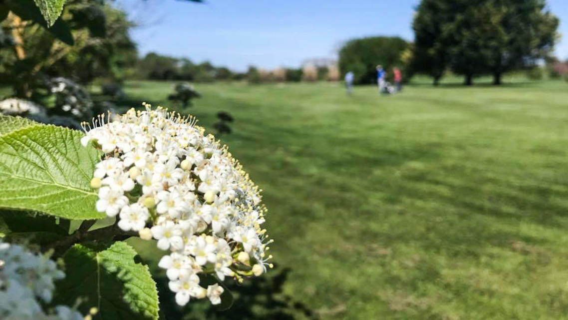 Programme-Golf-pour-la-Biodiversite.jpg