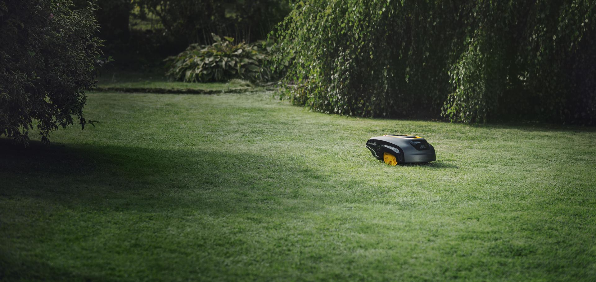 robot-tonte robot-tonte