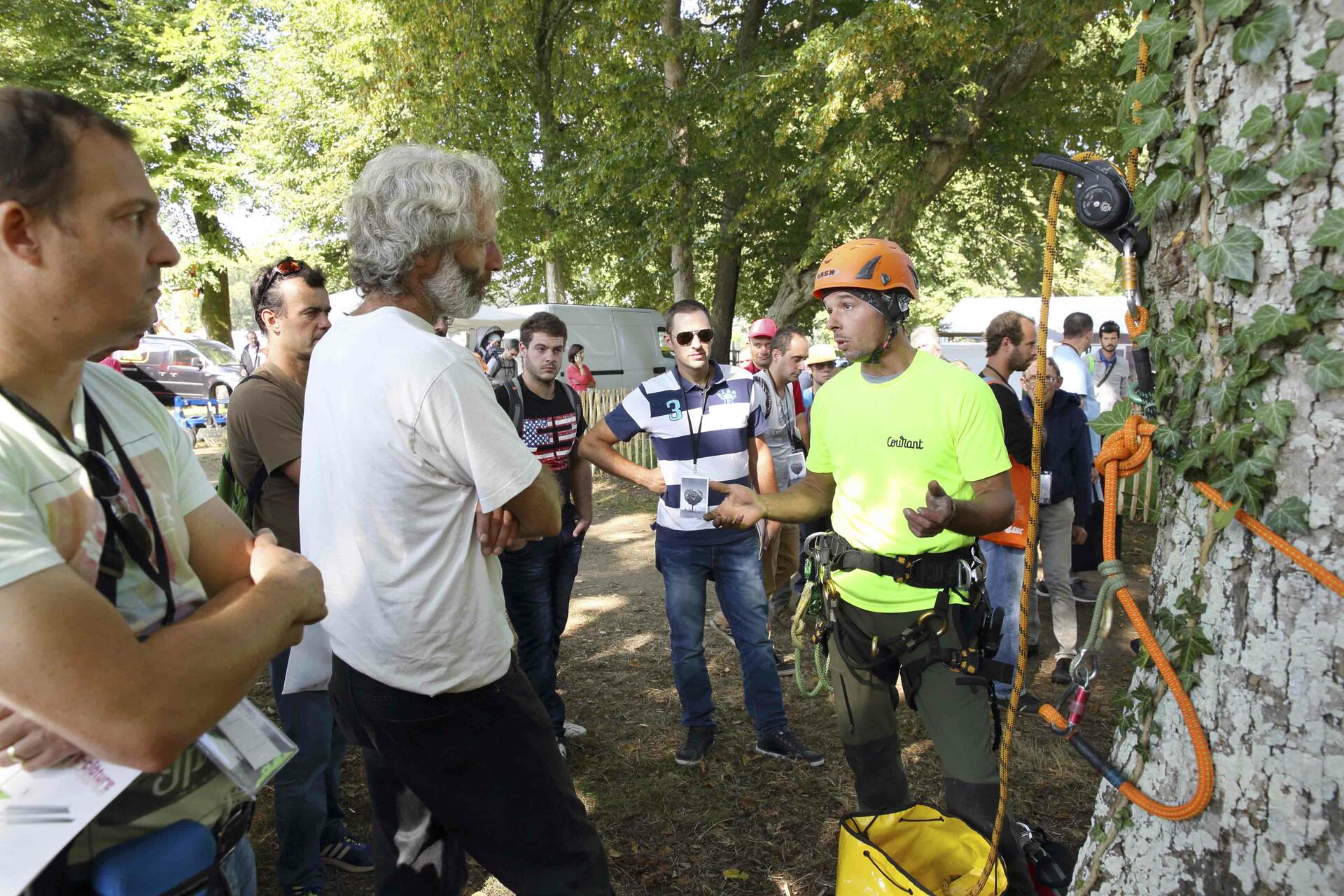 elagage-grimpe-corde