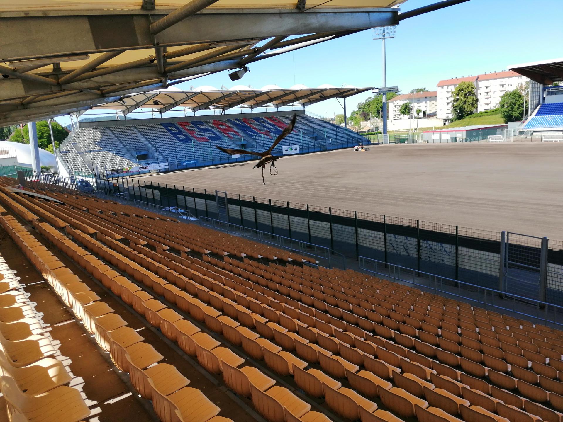 stade_leo_lagrange stade_leo_lagrange
